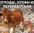 🪂«Российский экологический оператор»🪂 - Историко-краеведческий музей