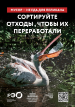 🪂«Российский экологический оператор»🪂